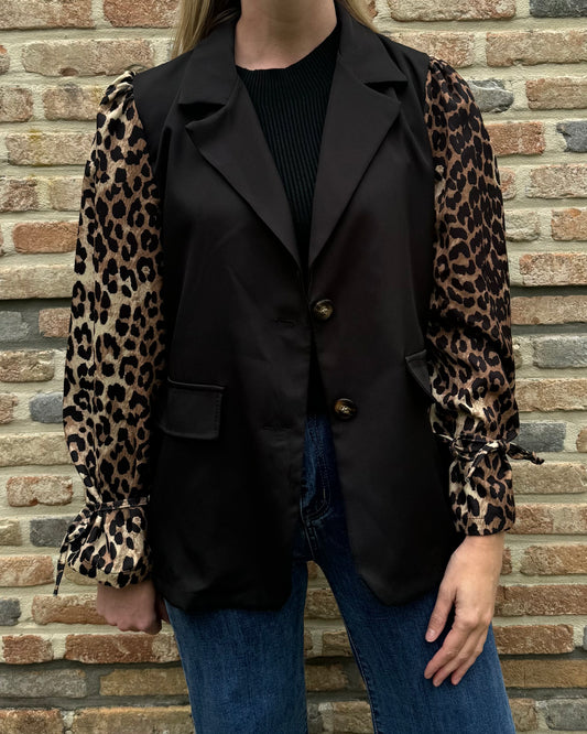 Feline blazer